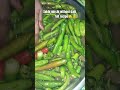 Sukhi Mirchi(without dahi) #ytshorts#dahiwalimirchi#dry#mirchi#fullrecipe#trendingshorts#shortsviral