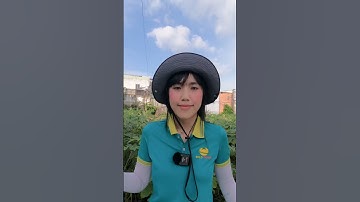 3 HIỂU LẦM VỀ TRICHODERMA – 90% BÀ CON ĐANG XÀI SAI!