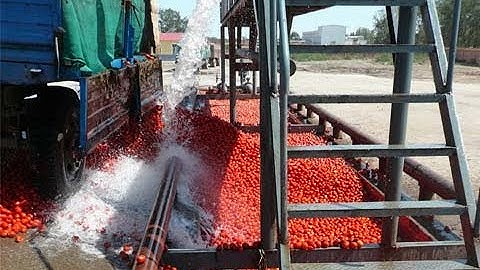 Tomato paste dilution processing line - Tomato Processing Process With Modern Technology