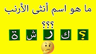 ما هو اسم أنثى الأرنب أسئلة عامة حاول ان تجيب عليها بدون أخطاء