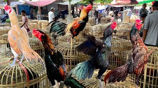 Download Lagu Hari Minggu Legi Pasar G4wok Komplit bosku ada wirkun wiring galih big size dan bulbi ganteng MP3 Download Lagu Hari Minggu Legi Pasar G4wok Komplit bosku ada wirkun wiring galih big size dan bulbi ganteng MP3