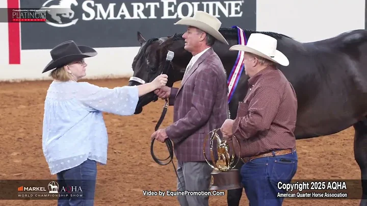 2025 Aged Stallions World Champion