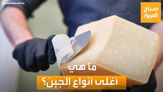 صباح العربية | قد يصل إلى 1000 دولار للكيلو.. تعرف على أغلى أنواع الجبن في العالم
