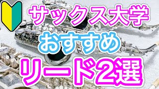 サックス大学おすすめリード2選【初心者にもOK】