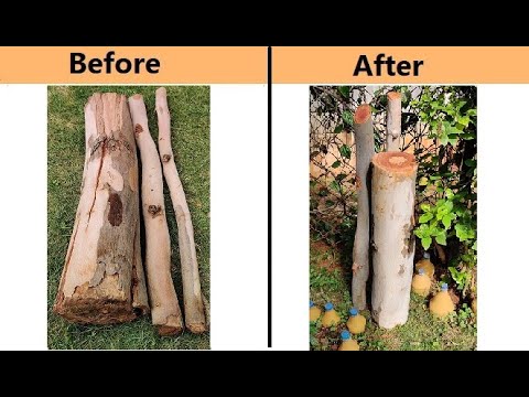 Can You Use Wood Logs In Landscaping?