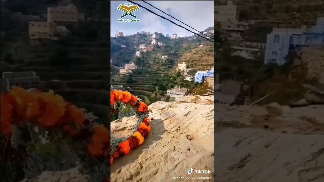 ﴿أَفَرَأَيتَ الَّذي كَفَرَ بِآياتِنا وَقالَ لَأوتَيَنَّ مالًا وَوَلَدًا﴾ [مريم: ٧٧] اواخر سورة مريم