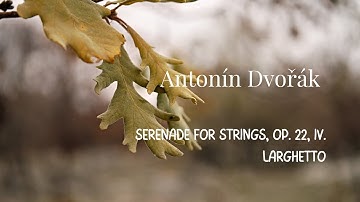 Antonín Dvořák - Serenade for Strings, Op. 22, IV. Larghetto
