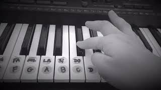 Gökçe - Ne Yapardım Org Dersi