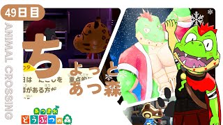 【49日目】今日配信納めの人が多いらしい【川鰐グラムのあつまれどうぶつの森実況】（あつ森・ポケ森）
