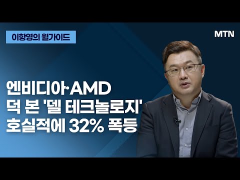 [이항영의 월가이드] 엔비디아·AMD 덕 본 '델 테크놀로지' 호실적에 32% 폭등 / 머니투데이방송 (증시, 증권)