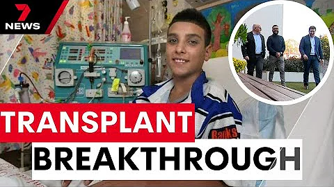Groundbreaking research providing hope for patients relying on transplants | 7 News Australia