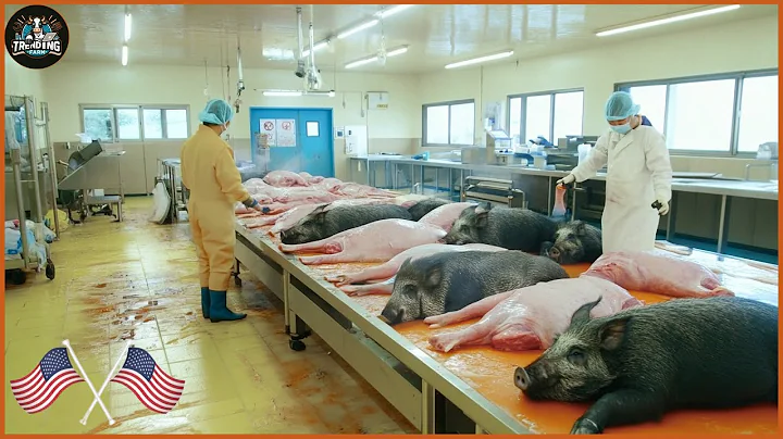 How Are Millions Of Wild Boars Processed In Factories? - How To Get The Best Quality Wild Boar Meat?