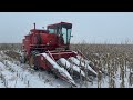 Barn find massey 300 picking corn in the snow from abandoned to harvesting pt 6