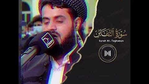 Surah At-Taghabun | Verse 13-14 | Raad Al Kurdi | سورة التغابن | رعد الكردي | THE VISUAL QURAN