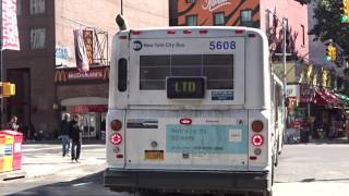 Mabstoa New Flyer D60Hf On A Ft. George-Bound M101 Limited
