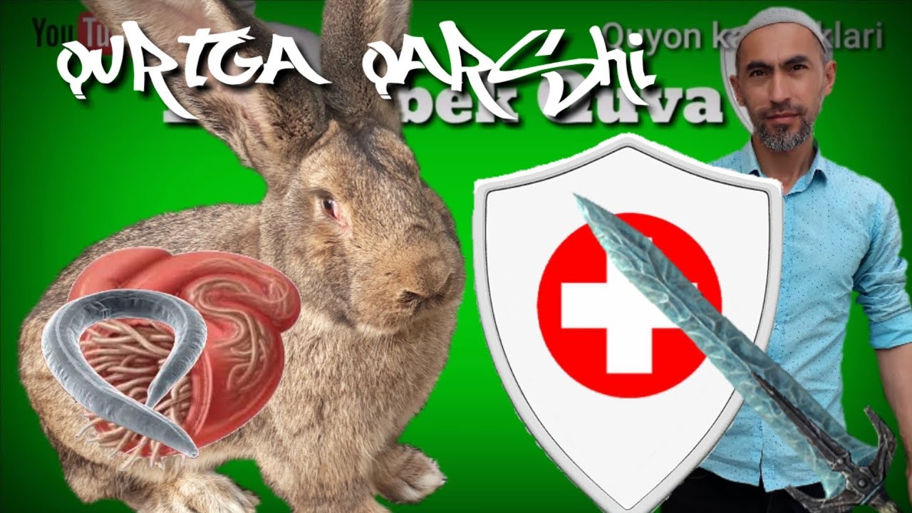 Qurtga qarshi. Глисты у кроликов. Лечение и профилактика. Worms in rabbits. Treatment and prevention