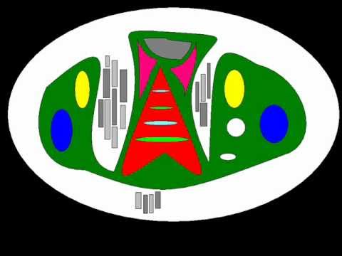 COMMANDER TOM - ARE AM EYE
