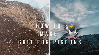 How To Make Grit For Pigeons