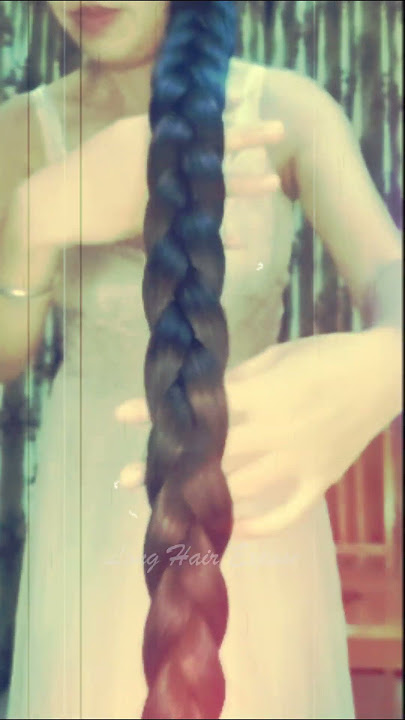 Long Hair Expose | #shortsvideo #longhair #longhairponytail #longhairasian  #domesticlonghair