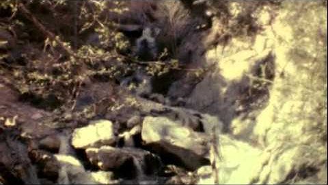 max 8 test with sound /not hd