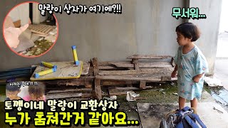 토깽이네 말랑이 교환 하기로 했는데 누가 훔쳐간거 같아요! 여기에 놓기로 했는데 이상한 곳에 왜? 무섭게 누구지 ㅠㅠ 흔한 가족 일상 브이로그 | 말이야와친구들