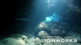 Elevate IAM Strategy & Programs With IDMWORKS