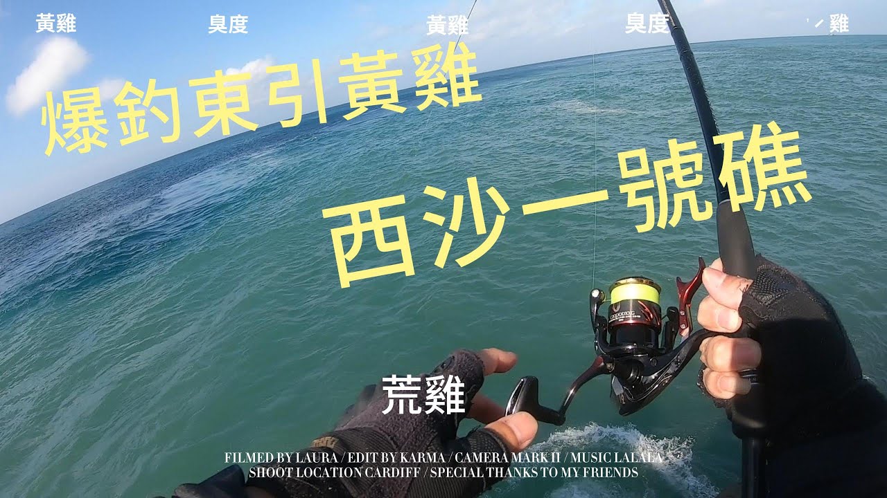 爆釣東引黃雞#西沙一號礁