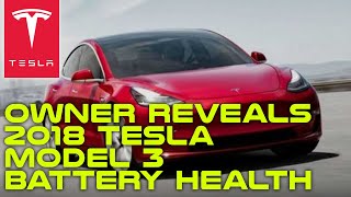 Owner Reveals 2018 Tesla Model 3 Battery Health After 100K Miles