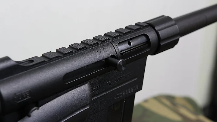 Henry US Survival Rifle Review