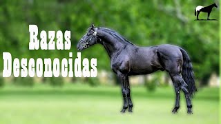 ¿Conoces Estas Razas De Caballos? 🐴-Del Cerro Soy