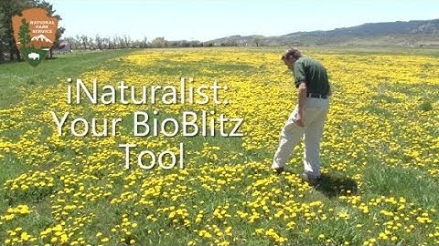 iNaturalist: Your BioBlitz Tool
