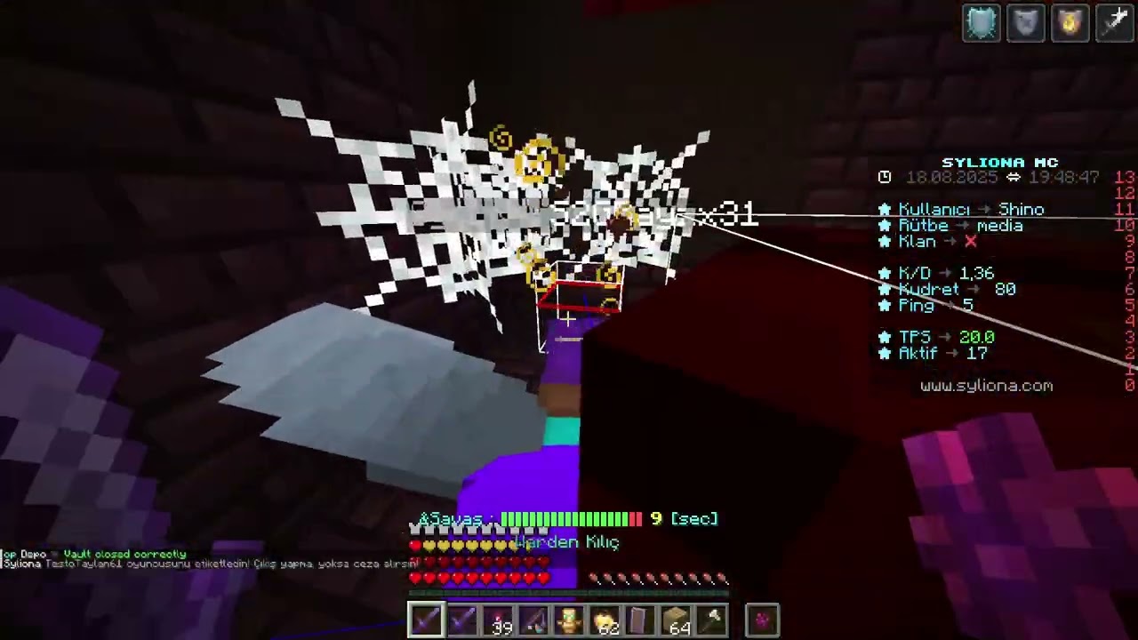 Sylionmc Kill Montage