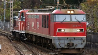 【衣浦臨海鉄道KE65形1号機　AT入場配給】JR貨物EF510形21号機＋ムド（衣浦臨海鉄道KE65形1号機）が山科駅を通過するシーン！（8093レ・2020.12.12）