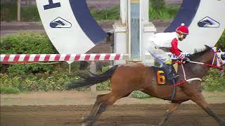 Vidéo de la course PMU PRIX BARAJADOR