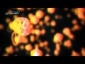 Med vs Neil Bamford - Light up (Original Mix)