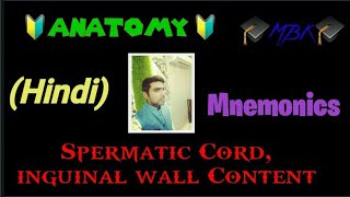 Mnemonics-Spermatic Cord Inguinal Wall Content Anatomy By Medico Kvsr Mbbs Notes