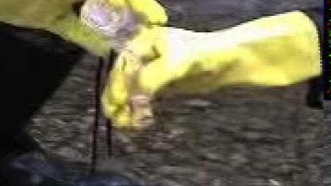 Water Testing: coliform bacteria