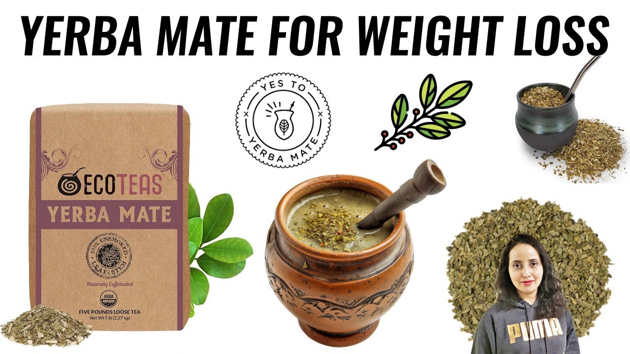 Best Yerba Mate For Weight Loss Yerba Mate For Weight Loss - Burn Fat Faster Than Green Tea - YouTube