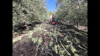 ΚOΡΩΝΕΙΚΑ Ι-38  3ΜΙΣΗ ΧΡΟΝΩΝ ΜΕ ΜΕΓΑΛΗ ΑΝΑΠΤΥΞΗ ΚΑΙ ΠΑΡΑΓΩΓΗ ΜΕ ΑΤΤΑΠΟΥΛΓΙΤΗ ΚΑΙ SUPERORGAN ΛΙΠΑΣΜΑ!