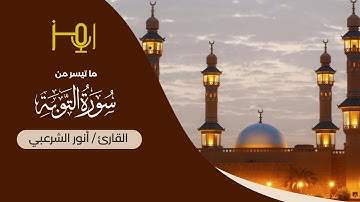 القارئ / أنور الشرعبي _مقطع من سورة التوبة #قرآن #تلاوات #رمضان