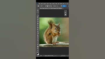 how to select fur in photoshop | select difficult object in photoshop #photoshoptutorial #photo