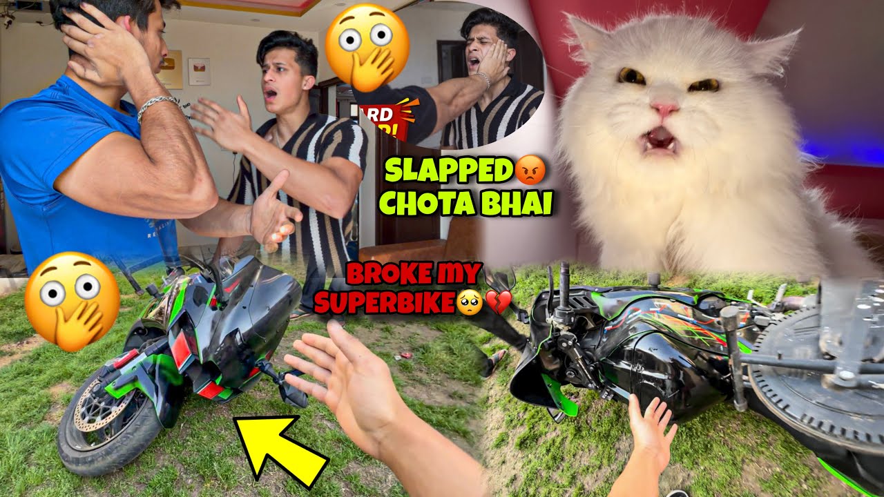 I slapped my chota bhai for Destroying my Superbike😡‼️ Our New Pet is here😍✨