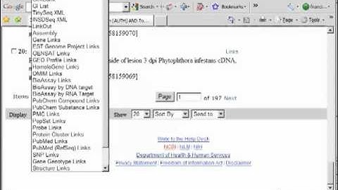 Bioinformatics 101 - Part 2 Intro