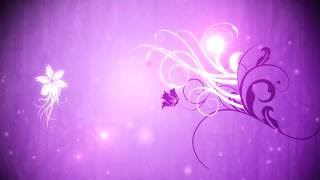 Download Free HD Flower Background