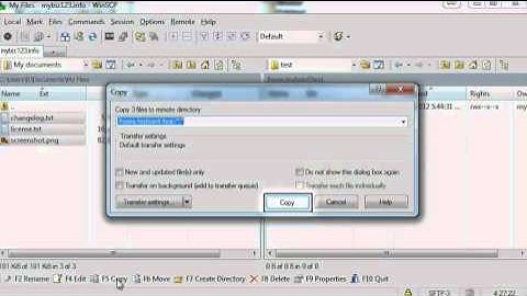 HostMetro - FTP - WinSCP Upload
