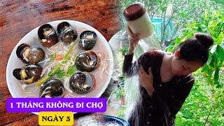 Ngày 3 Thử Thách 1 Tháng Không Dùng Tiền Đi Chợ