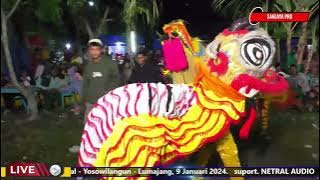 PAGELARAN SENI REOG SURO MENGGOLO PIMP. BPK. AMIN || MUNDER - YOSOWILANGUN. (malam)