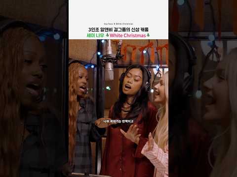 크리스마스 플리에 당장 추가해🎄