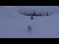 Щенок Хаски. Первая тренировка Бьёрна. Шерегеш.