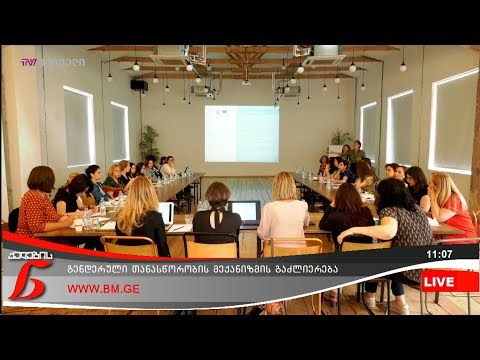 გენდერული თანასწორობის მექანიზმის გაძლიერება